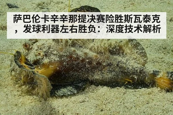 萨巴伦卡辛辛那提决赛险胜斯瓦泰克,发球利器左右胜负:深度技术解析